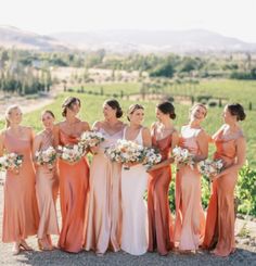 a group of women standing next to each other in front of a vineyard filled with vines