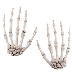 the bones of two hands are shown in this image