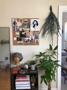 a living room with a plant and pictures on the wall