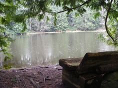 a bench sitting next to a lake surrounded by trees