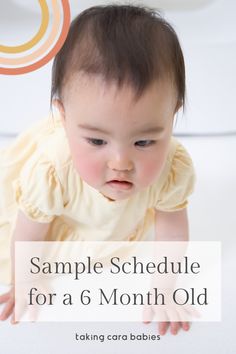 a baby crawling on its back with the words sample schedule for a 6 month old