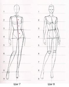 a drawing of a woman's body and the measurements for her torso, head, and arm