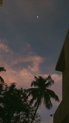 the moon is setting behind some palm trees