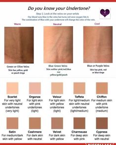 Different Undertones Skin, How To Know Your Skin Undertone, How To Know Undertone Skin, Foundation For Deep Winter, Best Foundation For Dark Skin, Colour Palette For Neutral Skin Tone, Cool Skin Tone Makeup Looks, Best Hair Colors For Neutral Skin Tones, Skin Undertones How To Tell