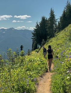 two people walking up a hill with mountains in the background and wildflowers on either side