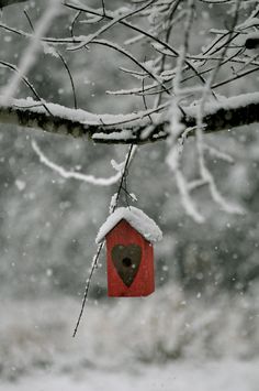 a red birdhouse hanging from a tree branch in the snow, with it's heart cut out