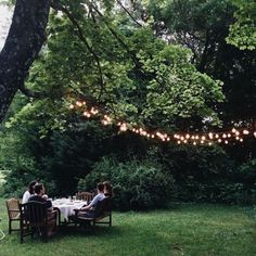 some people are sitting at a table in the grass with string lights strung over them