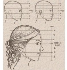 a drawing of a woman's face and head, with lines drawn on it