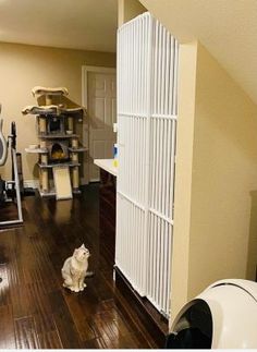 a white cat sitting on top of a wooden floor next to a radiator