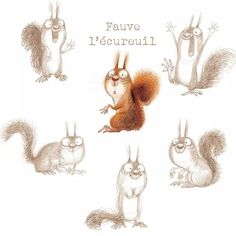 an image of squirrels and squirrels with caption saying fauve meurtiful