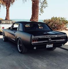 an old black car parked next to a palm tree on the side of the road