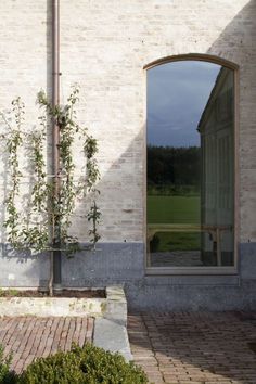 an open window on the side of a white brick building next to a small tree