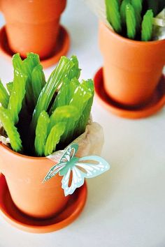 three clay pots with plants in them on a white table top, one has a butterfly sitting on the plant