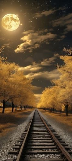 an image of a train track with the moon in the sky and trees on either side