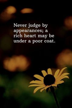 a yellow flower with the quote never judge by appearance, a rich heart may be under a poor coat