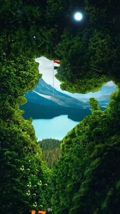 an image of a lake through the trees