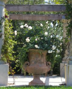 a large vase with white flowers in it sitting on the grass under an arbored area