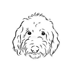 a black and white drawing of a dog's face royalty illustration on a white background