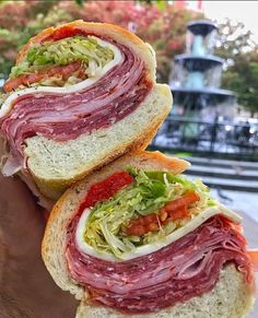 two sandwiches with meat, lettuce and tomato on them are being held in front of the camera