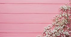 white flowers against a pink wooden background