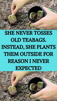 two hands are holding small pots with plants in them and the words, she never tosses old teabags instead, she plants them outside for reason i never expected