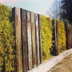 a row of wooden posts next to a lush green plant filled wall on the side of a road