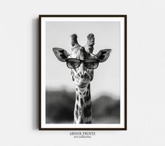 a black and white photo of a giraffe wearing sunglasses