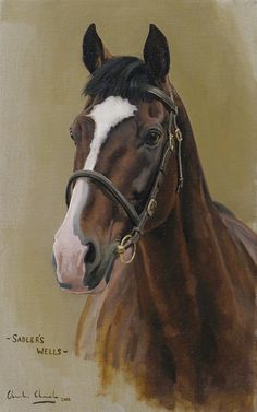 a painting of a brown horse with a white spot on it's forehead and bridle