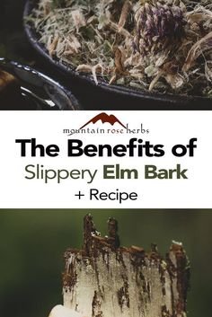 Slippery Elm Benefits, Slippery Elm Tea, Witch Recipes, Herbal Medicine Cabinet, Herb Life, Herbal Health, Slippery Elm Bark, Diy Tea