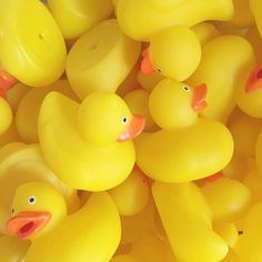 many yellow rubber ducks with orange beaks