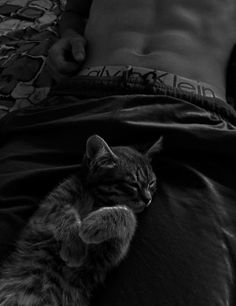 a black and white photo of a cat sleeping on top of a person's bed