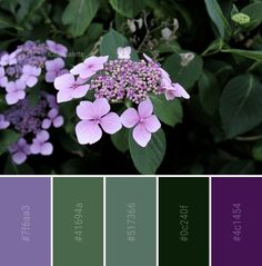 the color palette is purple and green with lila flowers on it, along with other colors