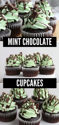 chocolate cupcakes with green frosting and chocolate sprinkles on top