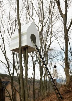 a person is walking up a ladder to a birdhouse in the woods with trees