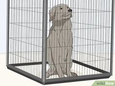 a drawing of a dog in a cage with the door open to show it's side