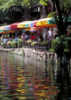 people sitting at tables under umbrellas on the side of a body of water with trees and buildings in the background