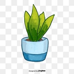 a potted plant with green leaves in it, on a white and blue background