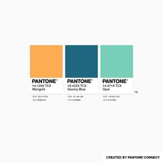 the pantone color scheme is shown in three different colors