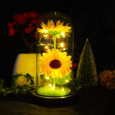 a sunflower in a glass dome with lights on the outside and grass under it