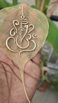 a person holding a leaf with an intricate design on it