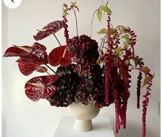 a white vase filled with lots of different types of flowers on top of a table