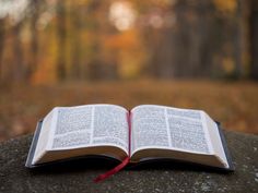 an open book sitting on top of a rock