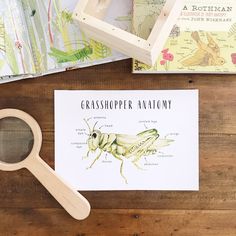 a wooden magnifying glass sitting on top of a table next to some books