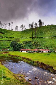 a small stream running through a lush green hillside