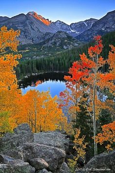 the mountains are full of trees with orange and yellow leaves on them, near a lake