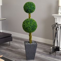 a potted plant with three topiary balls on it in a living room area