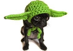 a small dog wearing a green crochet hat with the caption in spanish