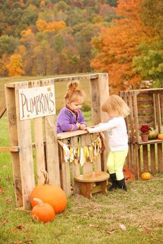 Fall mini session, pumpkin stand, diy pallet, autumn mini Fall Mini Session Ideas, Pallet Stand, Fall Photo Booth, Pumpkin Patch Ideas, Halloween Mini Session, Fall Photo Props, Fall Photo Ideas, Fall Minis, Fall Backdrops