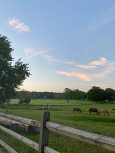 horses graze on grass behind a wooden fence