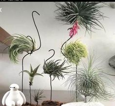 some air plants are in pots on a table next to a white bear and bird